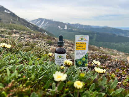Rhodiola Rosea Tincture – Natural Stress & Energy Support (2 oz)